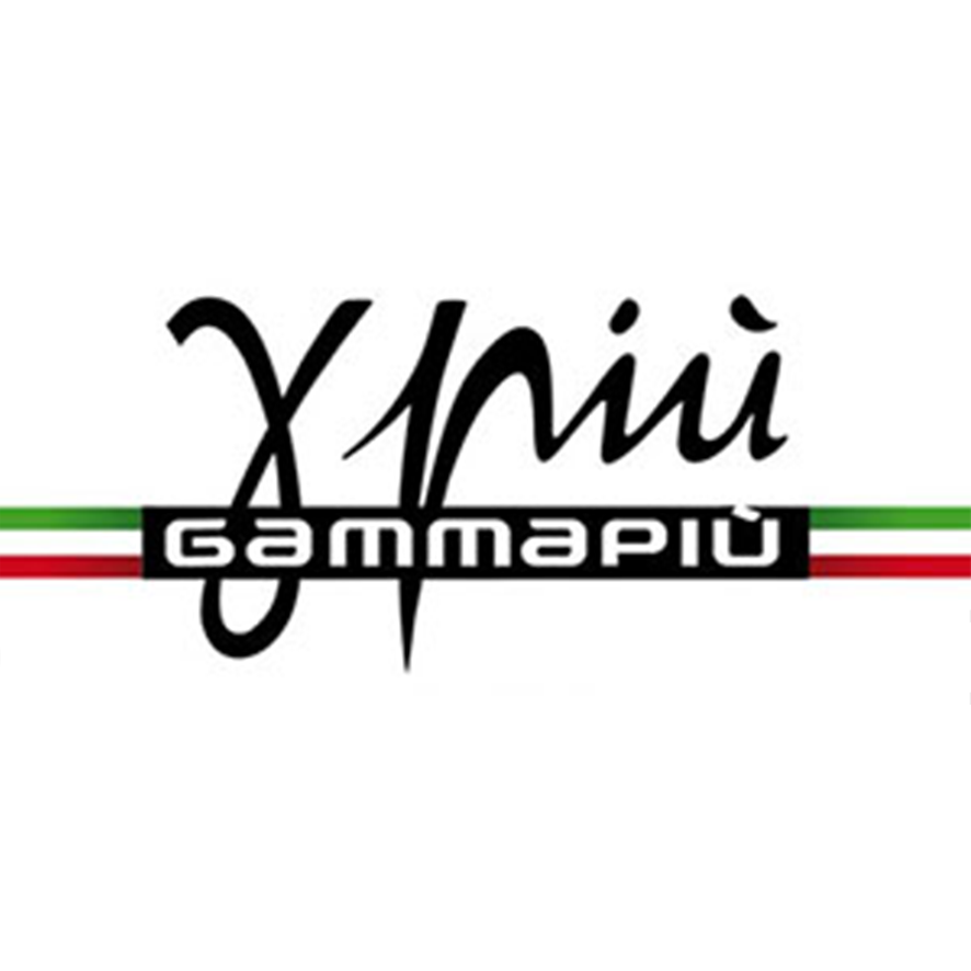 Gamma Piu Logo